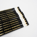 Pieštukai eskizavimui,  12vnt.