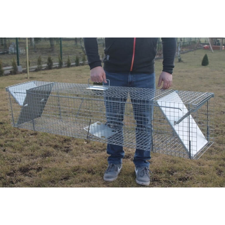 Narvas gaudyklė, 150x29x31 cm