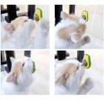 Katžolės rutuliukas katėms