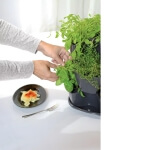 Trigubas vazonas žolelėms