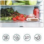 Šaldytuvo kvapų valiklis