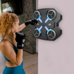 Elektroninė bokso kriaušė