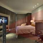 Blakių detektorius, 0.5-10m