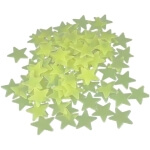 Tamsoje šviečiančios žvaigždės 100 vnt.