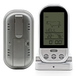 Skaitmeninis termometras su zondu, 250C