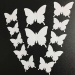 Lipnus drugeliai, Balti 12vnt.