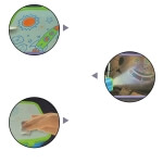 Paveikslėlių projektorius, 3D 3XAA