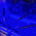 Augalų auginimo lempa, 315 led