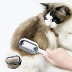 Plaukų rinkiklis, 19x5.3x2.6 cm