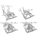 Spąstai kurmiams su rankenomis