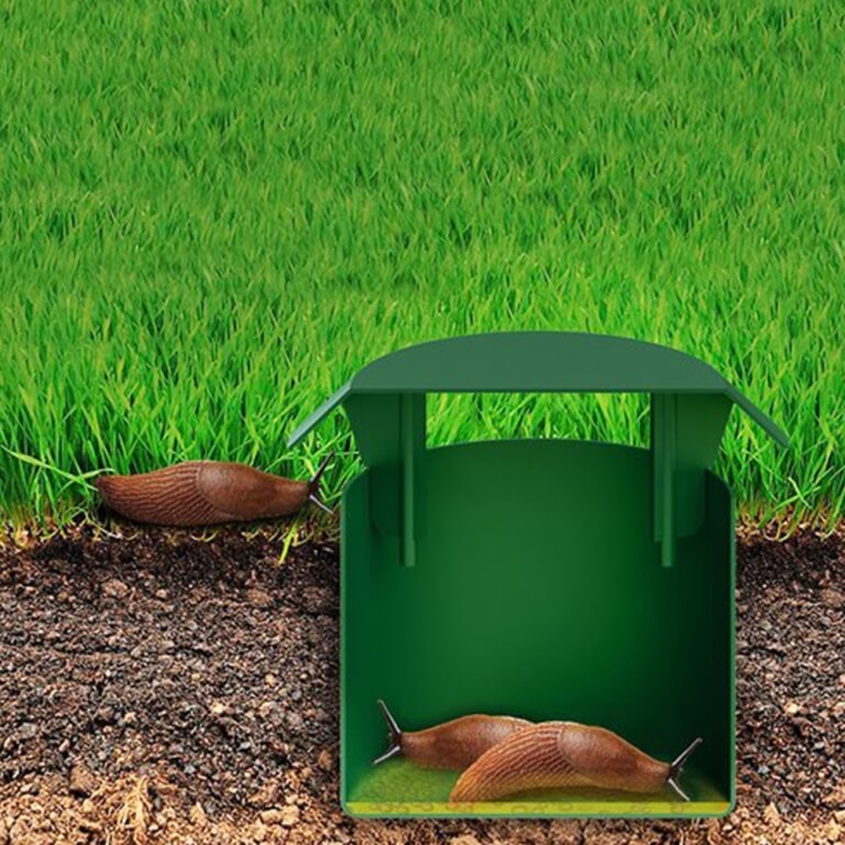 Šliužų gaudyklės, 2 vnt.