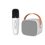 Belaidė kolonėlė su mikrofonu 6w, Rožinė