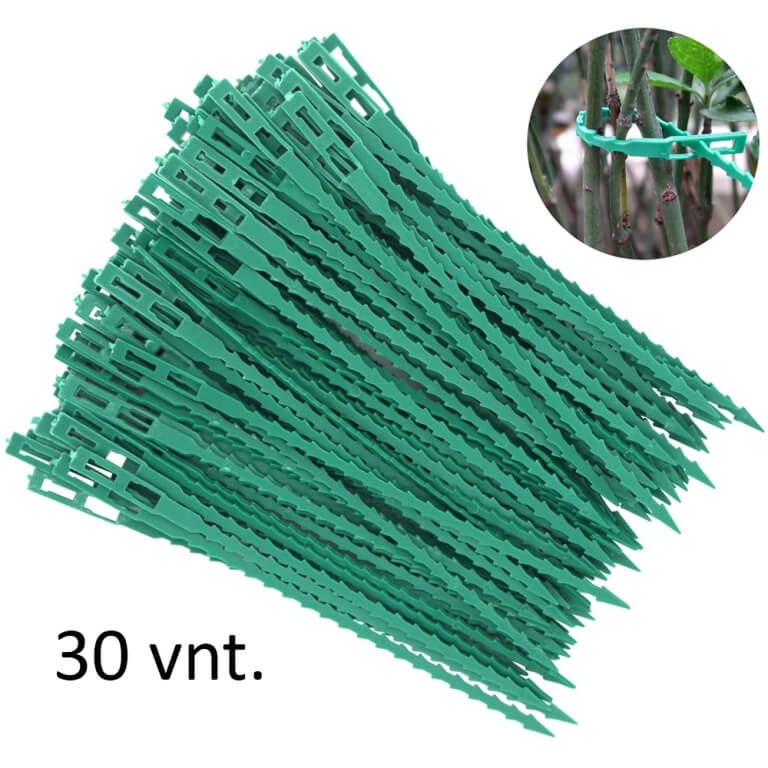 Augalų tvirtinimo dirželiai, 30vnt.