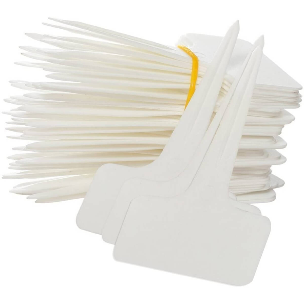 Augalų žymekliai, 10 vnt.