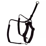 Treniruočių petnešos šunims Hunter, S dydis