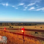 Ultragarsinė baidyklė skirta laukui