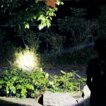 Prožektorius ant galvos TR2003B