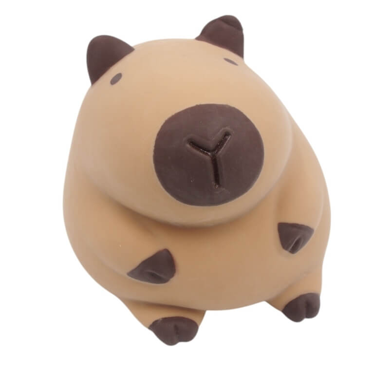 Pripučiama kapibara