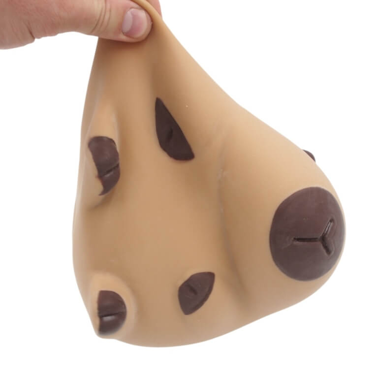 Pripučiama kapibara