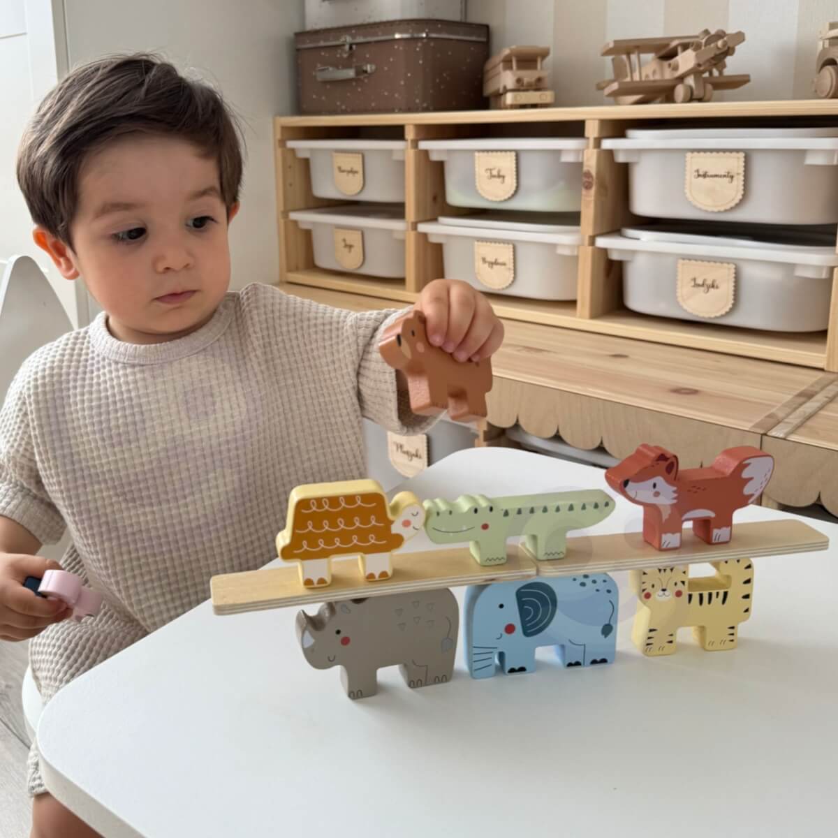 Montessori medinės kaladėlės dėlionė, Tooky Toy LK7789