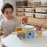Montessori medinės kaladėlės dėlionė, Tooky Toy LK7789