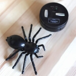 Nuotoliniu būdu valdomas voras, Woopie