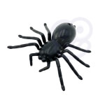 Nuotoliniu būdu valdomas voras, Woopie