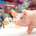 Gyvūnų ūkio figūrėlių rinkinys, Woopie  34 vnt.