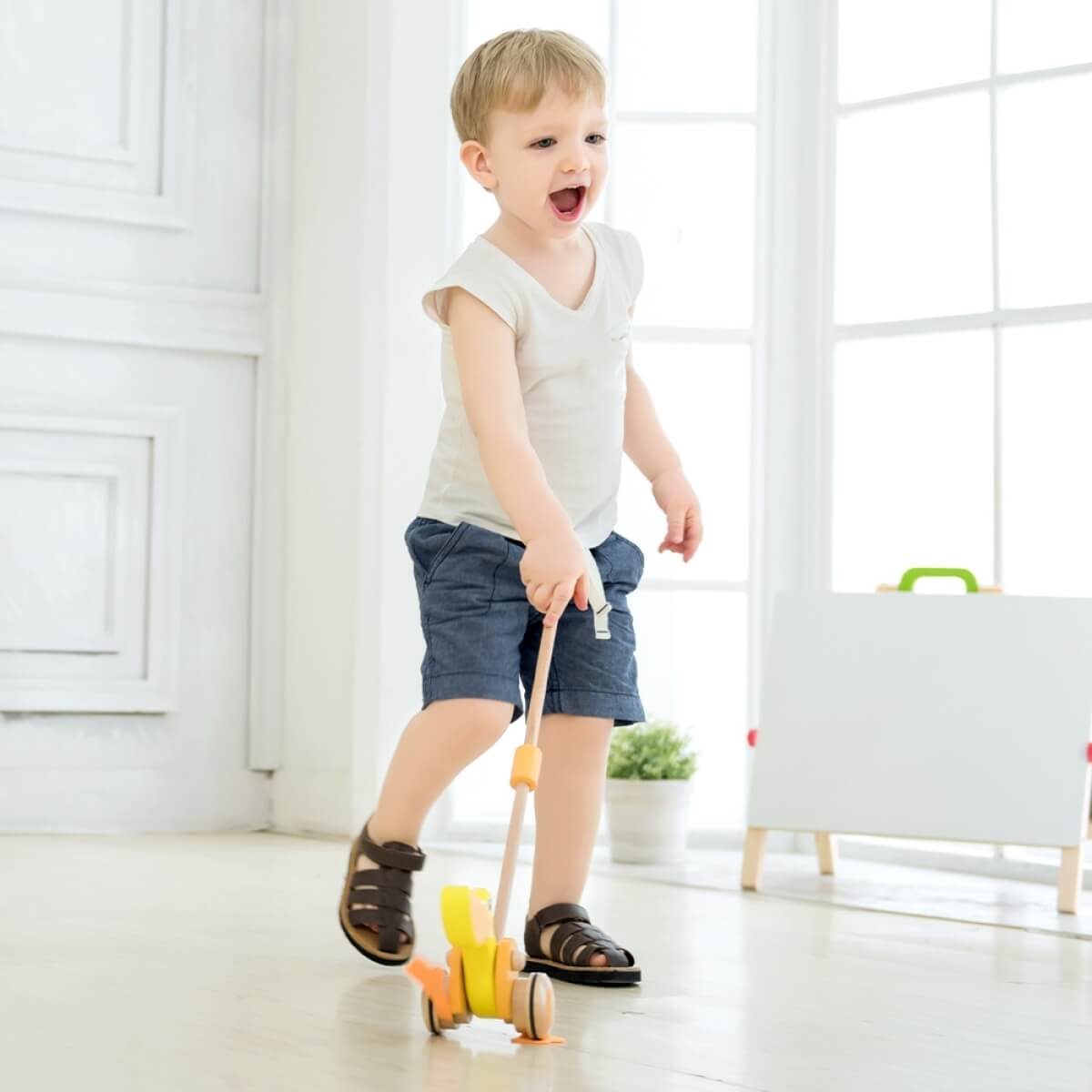 Medinis stumiamas žaislas, Classic World