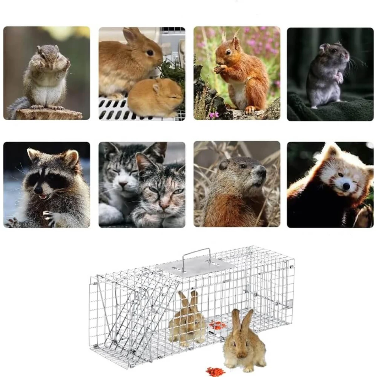 Sulankstomas narvas, 80x28x33cm