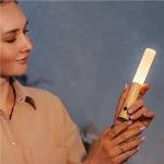 Magnetinis šviestuvas