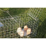 Narvas gaudyklė, 150x29x31 cm