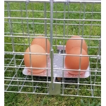 Narvas gaudyklė, 150x29x31 cm