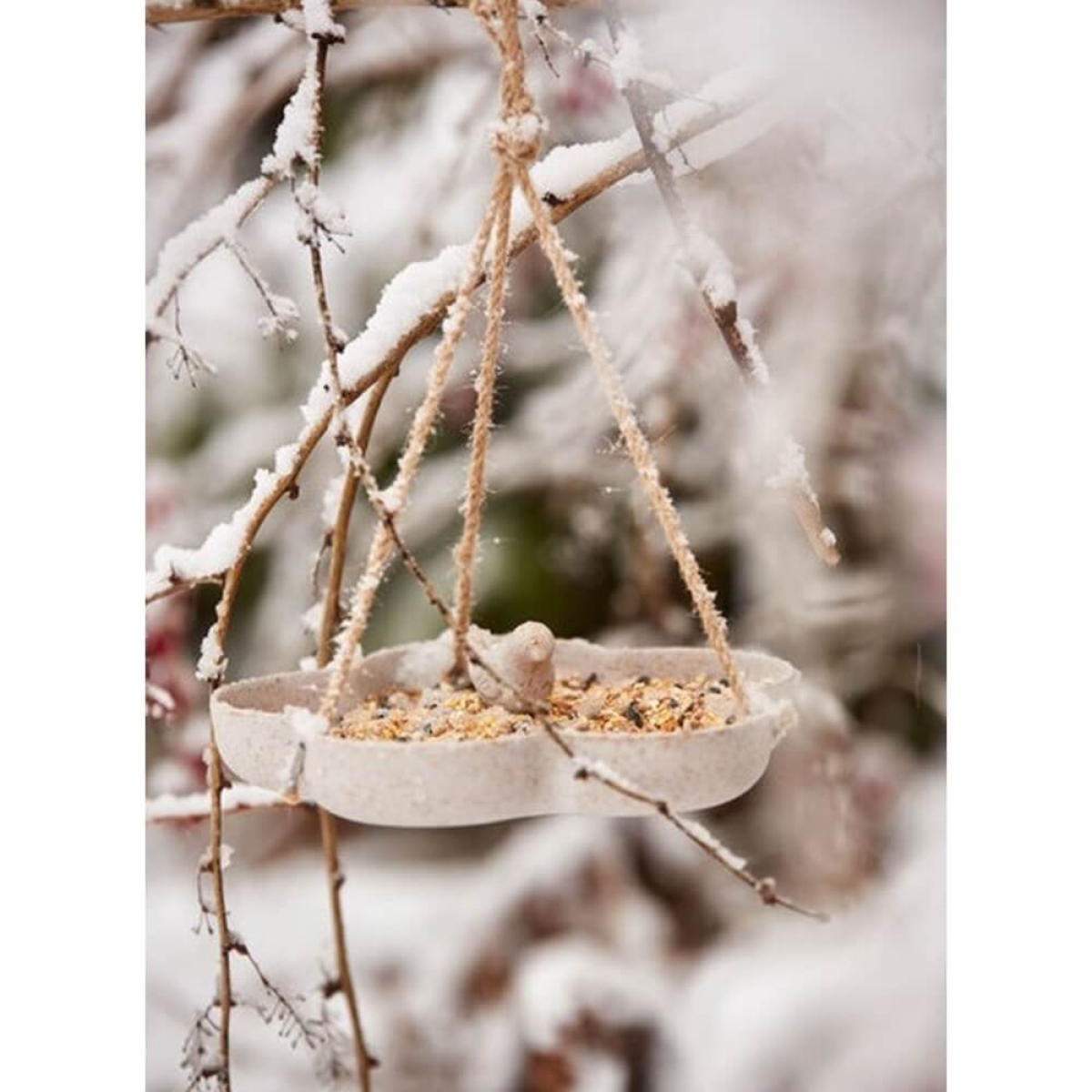 Paukščių lesyklėlė girdykla