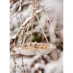 Paukščių lesyklėlė girdykla