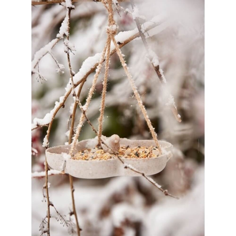 Paukščių lesyklėlė girdykla