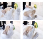 Katžolės rutuliukas katėms