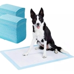 Vienkartinės palutės, 50vnt.