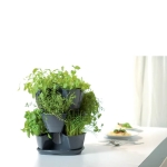 Trigubas vazonas žolelėms