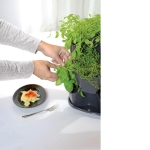 Trigubas vazonas žolelėms