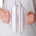 Ledukų formos gertuvė, 24 lėdukai