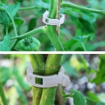 Pomidorų segtukai, 50 vnt.