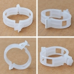 Pomidorų segtukai, 50 vnt.