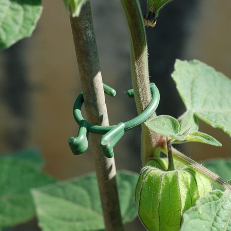 Segtukai augalams, 50 vnt.