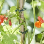 Segtukai augalams, 50 vnt.