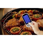 Skaitmeninis termometras su zondu, 250C