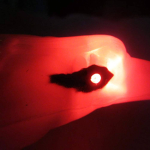 Judančio erelio imitacija, 42cm