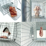 Narvas gaudyklė spąstai 102x34x34cm