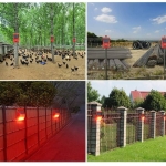 Sirena su judesio jutikliu ir nuotoliniu valdymu, 5–8 metrai