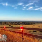 Ultragarsinė baidyklė skirta laukui, IP65